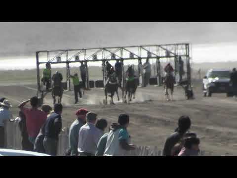 LOS MENUCOS 1   "ENDIABLADO"  16-2-20