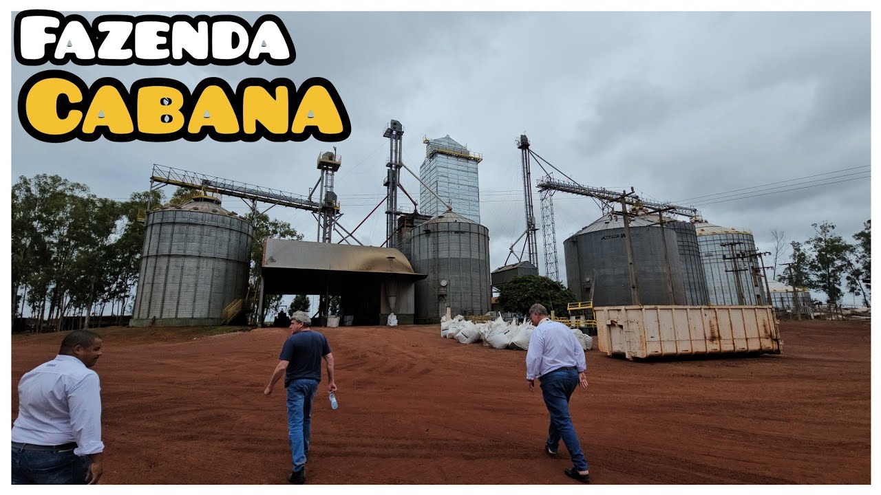 FUI PRO MATO GROSSO VISITAR A FAZENDA CABANA PRODUTORA DE ALGODÃO E SOJA