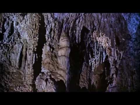 Destiny Lab "BELLY OF THE BEAST"  Featuring Wut Metaphysical