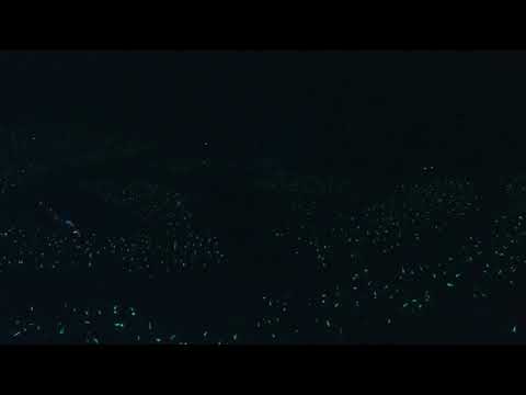 SHINee Alarm Clock from SHINee WORLD Ⅳ In Seoul DVD