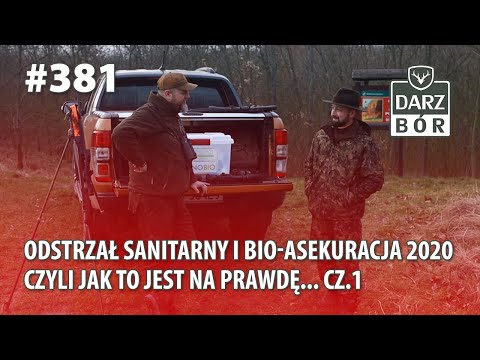 Darz Bór odc. - 381 "Odstrzał sanitarny i bio-asekuracja 2020 - czyli jak to jest naprawdę... cz1"