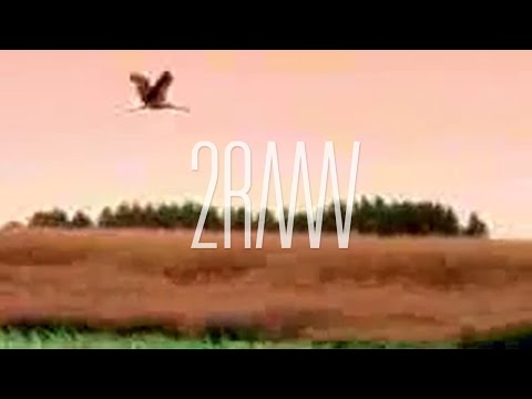 2RAUMWOHNUNG - Wir trafen uns in einem Garten (Official Video)