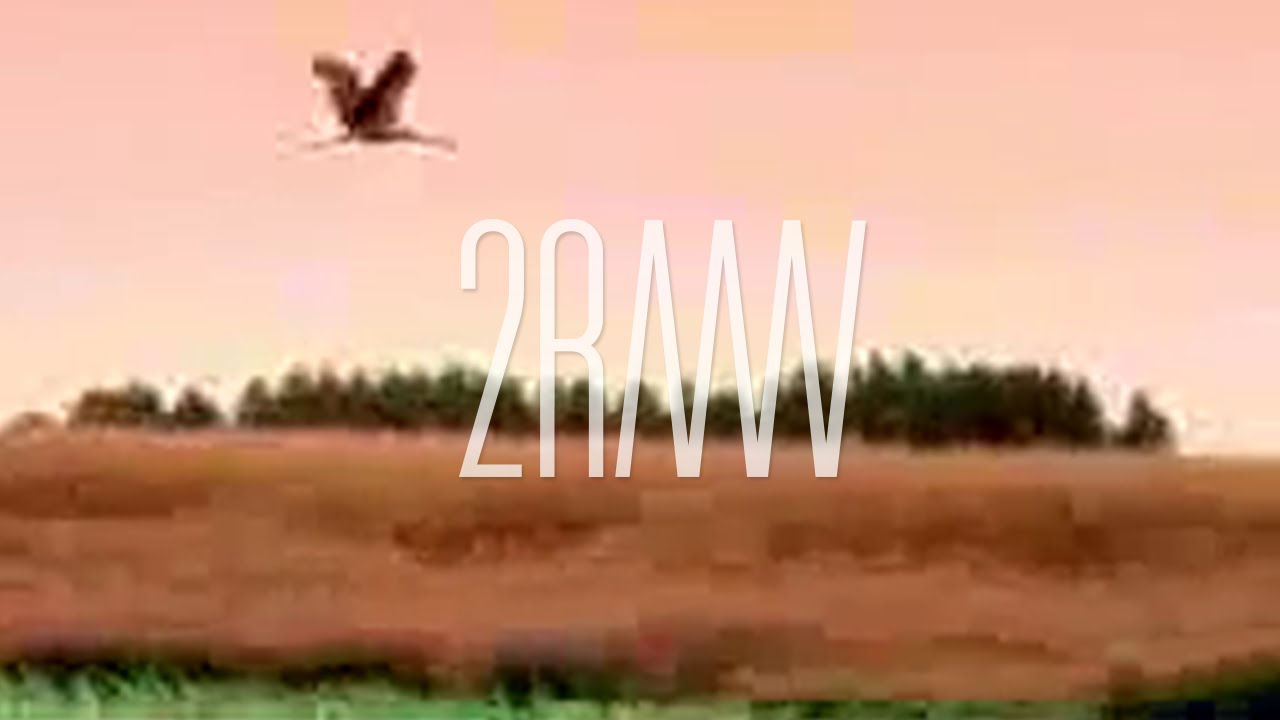 2raumwohnung Wir trafen uns in einem garten Bedeutung MusikGuru