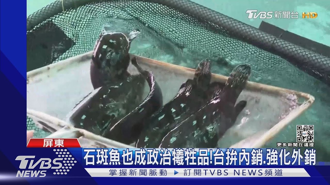 愈罵爬愈高！　蔣萬安、黃珊珊爭搶「扶龍王快來罵我」