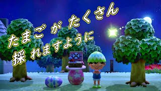 ウッディなたまごを集めたい【あつまれどうぶつの森】