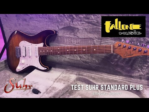 FALLONE MUSIC : Test SUHR Standard Plus Bengal Burst