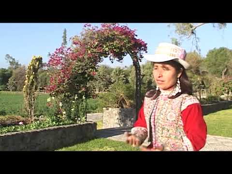 Vuelve A Mi - Roxana Gutierres