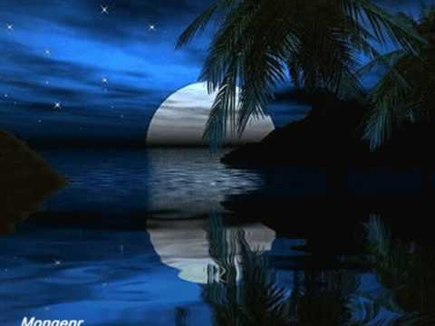 Playa sola( Miramar  )