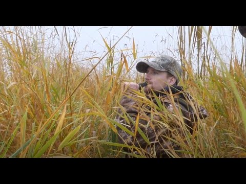 Hunting Ducks in North Idaho