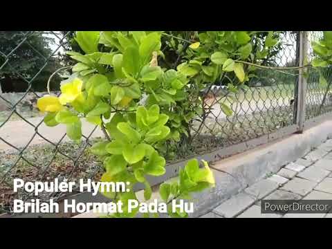 Lagu Rohani Kristen  B'rilah Hormat Pada Hu | Kidung Jemaat | Buku Zinuno | Lagu Nias