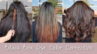Black Box Dye Hair Color Correction - FULL CORRECTION FROM BLACK TO BROWN HAIR