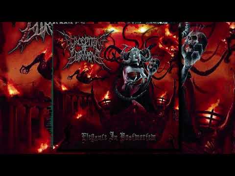 Belated Perception - Acoustic Torment