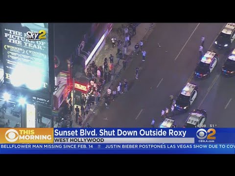 Large Crowd Shuts Down Sunset Blvd. Outside The Roxy In WeHo
