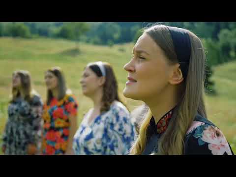 Gabriel Gorcea si prietenii vol 12 [Official video]