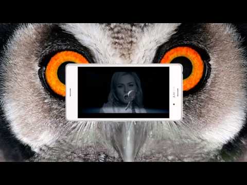 Muzikiniai klipai – visada su jumis | Monika Linkytė