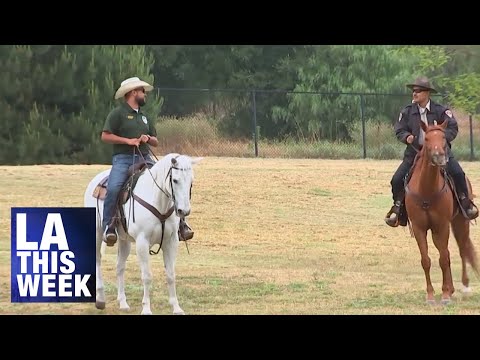 Mounted Park Ranger Meet & Greet