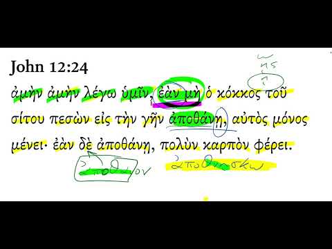 John 12:24