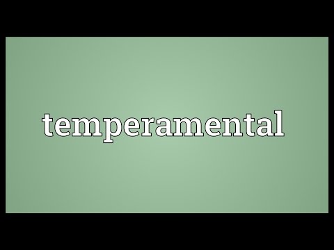 Temperamental Meaning