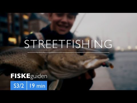 FISKEguiden: Streetfishing