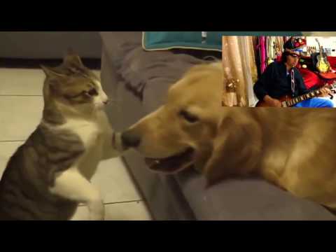 As I Went Out One Morning ( Bob Dylan ) cover