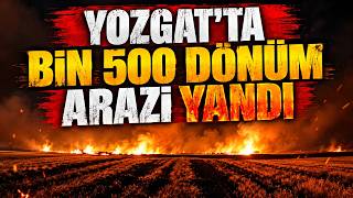 Yozgat’ta bin 500 dönüm arazi yandı