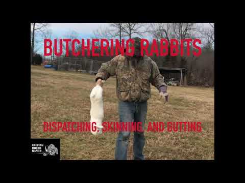 Butchering Rabbits: How To Dispatch, Skin, and...