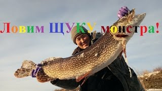 Ловля щуки в якутии зимой