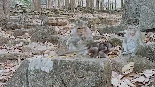 VID20241224090551 short 2