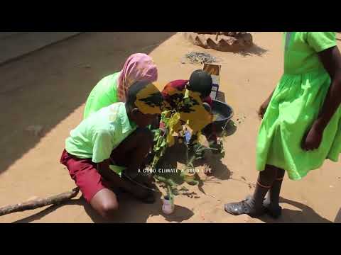 Drawing 50 Art Murals in Mbarara - Uganda.