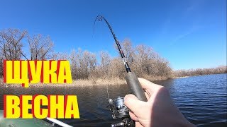 Где и когда ловить щуку весной на спиннинг