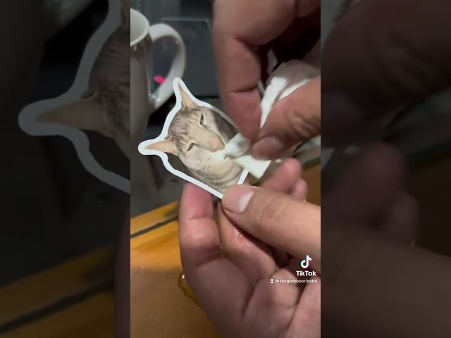 Vídeo relacionado con Pegatinas de para botellas de agua, pegatinas góticas de,Pegatinas impermeables de gatos espeluznantes góticos | 54X calcomanías de gato gótico para botella de agua, portátil, álbum de recortes, mono