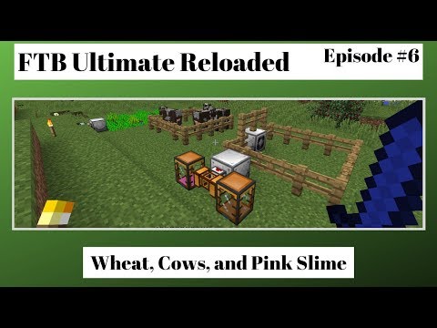 FTB Ultimate Reloaded Episode 6 - Wheat, Cows, and Pink Slime