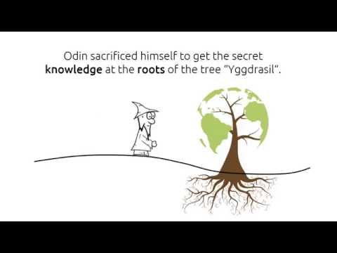 Wegtam-Search : Support for the free knowledge in the web