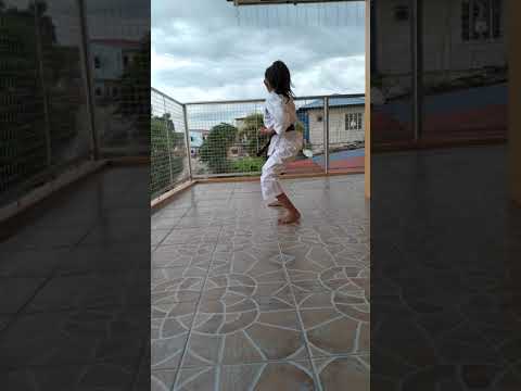 Heian Godan Kata (shotokan)
