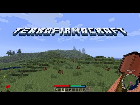 TerraFirmaCraft - Episode 10 - Emperor for a day