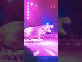 Life In Bologna Italy Series Story 3 Bologna Winter Circus Part 1 Animal Circus Life In Europe