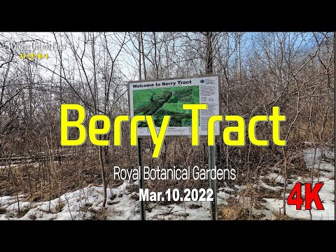 [4K] RBG Trail, Berry Tract, Bruce Trail Dundas, [2022.3.10]