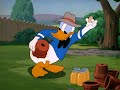 Donald Duck Honey Harvester 1949