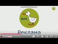 Tmmy Says Cheese A Photo Of Ducktv Reklama Bumper 2020