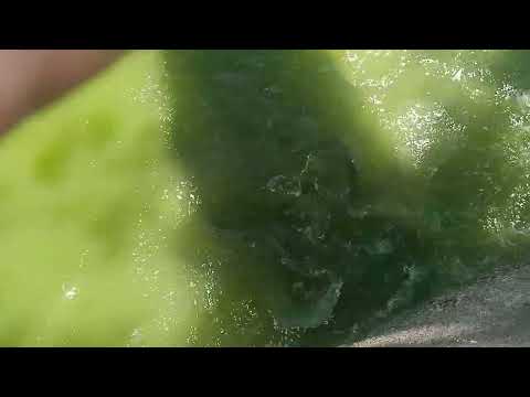 Er. Dalbir Singh Chib