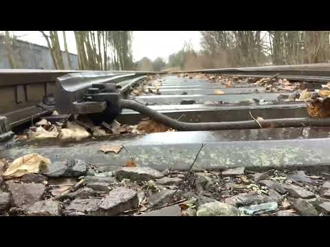 Heidekrautbahn Die Ankunft Bhf Schildow