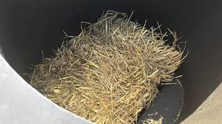 YouTube Video Preview