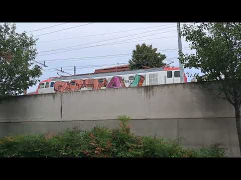 [4K] Transito treni merci con furgoni a Riccione Alba