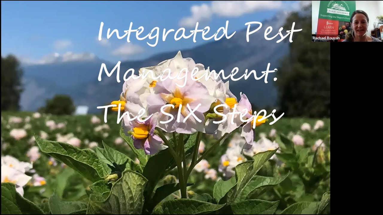 Integrated Pest Management: The SIX Steps