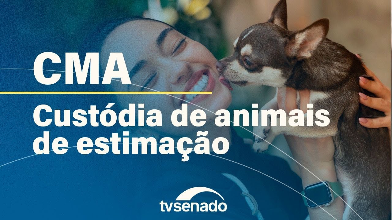 CMA debate custódia compartilhada de animais de estimação em caso de separação – 9/10/24