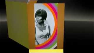 DIANA ROSS  sweet summertime livin&#39;