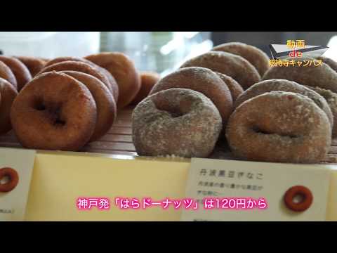 【動画de総持寺キャンパス】④ソフトクリームが人気！OGカフェ（追手門学院大学）