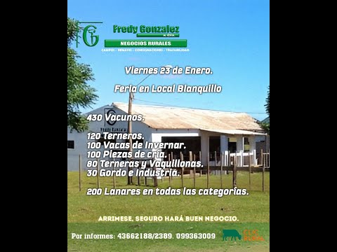 23/1/2026 Blanquillo - Durazno - Feria Mensual - Fredy González y Cía Ltda - Diego Prego