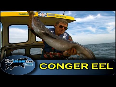 How to catch Conger Eels - Totally Awesome Fishing