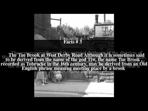 Tue Brook Top # 6 Facts